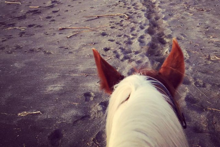 Horseback riding on Ten Mile Beach, California