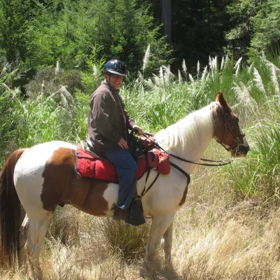 Horseback rides in McKerricher State Park