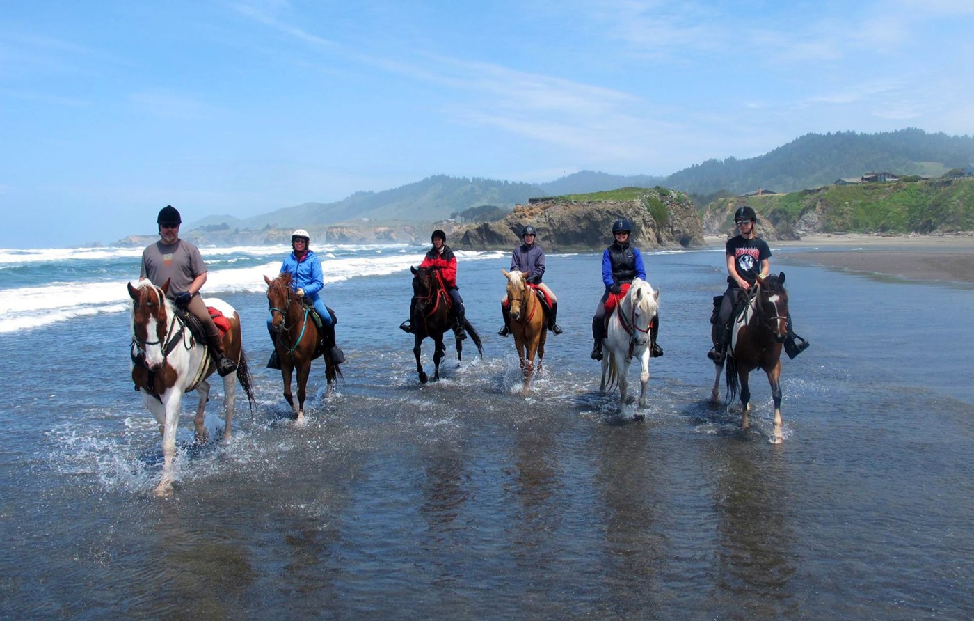 Ricochet Ridge Ranch | Horseback Riding in Mendocino, CA