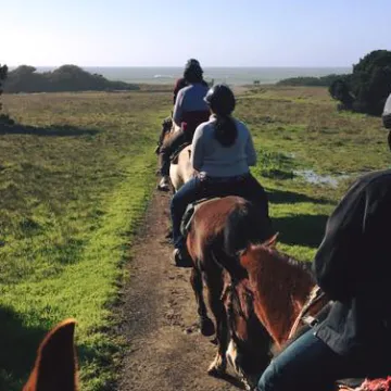 Private horseback rides in McKerricher State Park