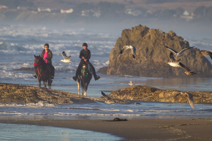 Horseback riding on the beach in Northern California
