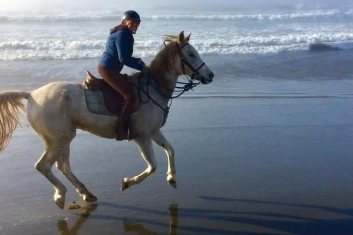 a person riding a horse on a beach