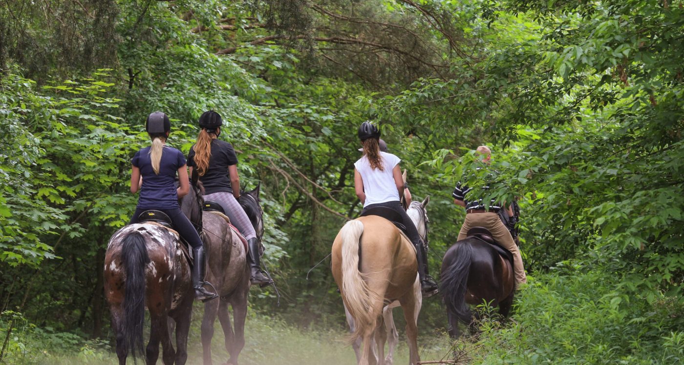 Redwood Horseback Riding - Ft. Bragg, CA | Ricochet Ridge Ranch