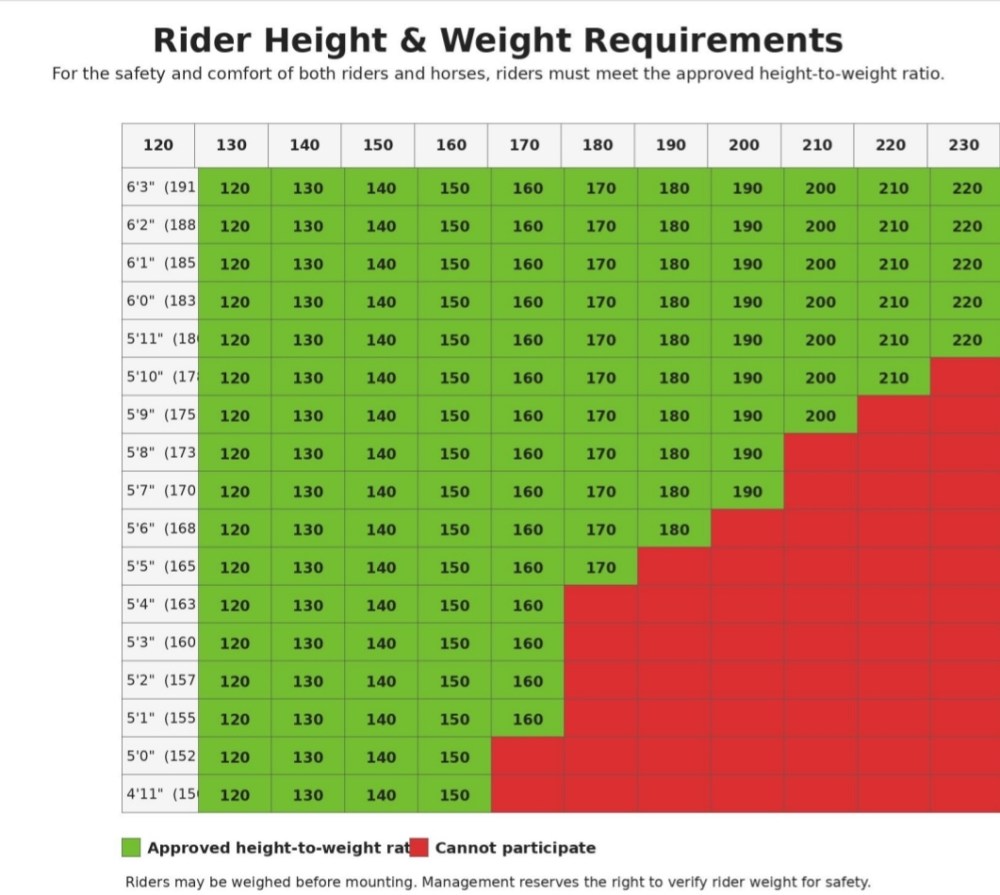 Height and weight chart for rider requirements; approved ratios in green, non-approved in red.